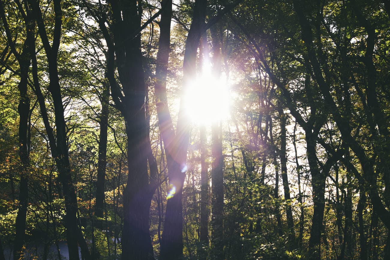 ONE SAUNA対談 VOL.4|SANU GEN FUKUSHIMA with ONE SAUNA HARUYA AGEMATSU Part.2