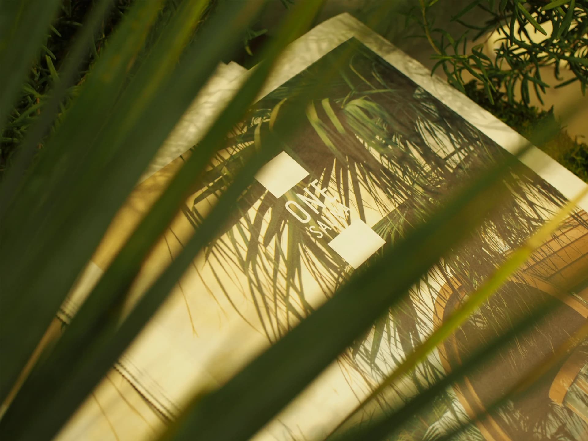 TOKYO OUTDOOR SHOW 2023 出展